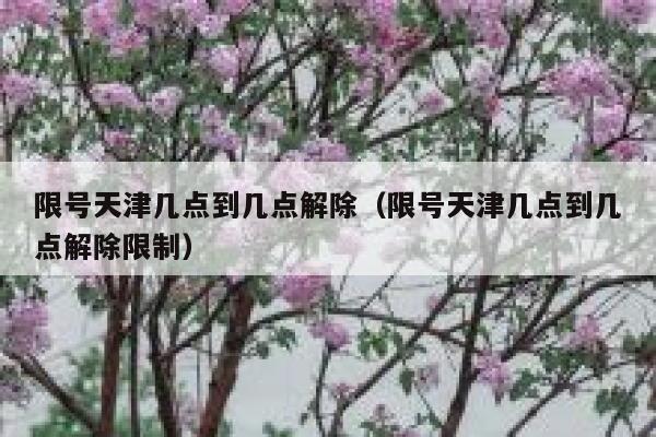 限号天津几点到几点解除（限号天津几点到几点解除限制） 第1张