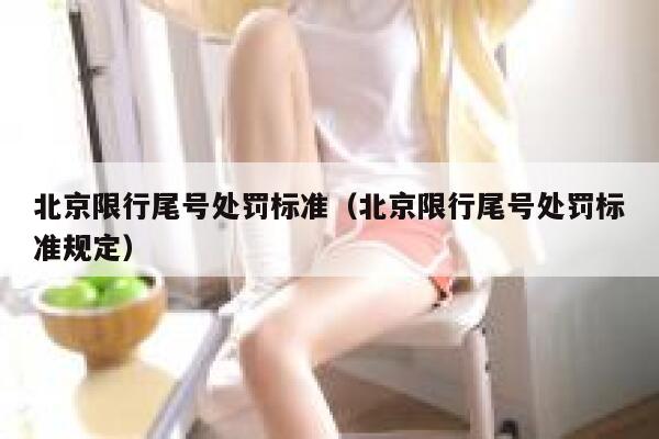 北京限行尾号处罚标准（北京限行尾号处罚标准规定） 第1张