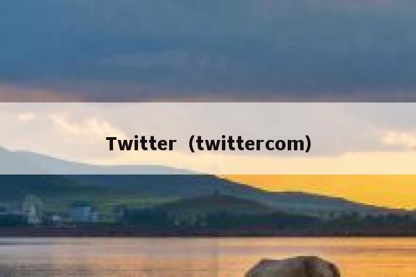 Twitter（twittercom） 第1张