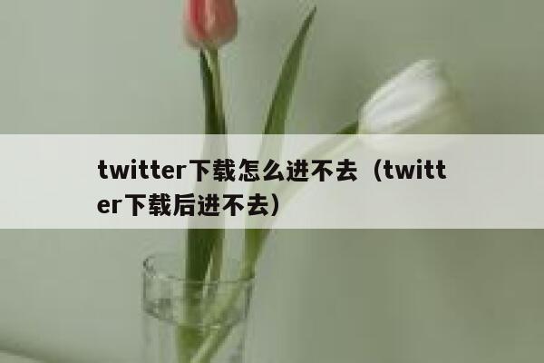 twitter下载怎么进不去（twitter下载后进不去） 第1张