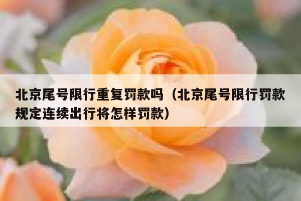 北京尾号限行重复罚款吗（北京尾号限行罚款规定连续出行将怎样罚款） 第1张
