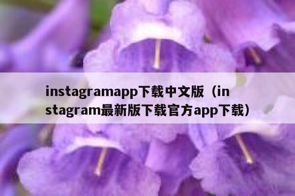 instagramapp下载中文版（instagram最新版下载官方app下载） 第1张