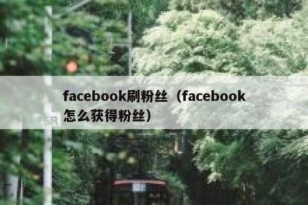 facebook刷粉丝（facebook怎么获得粉丝） 第1张