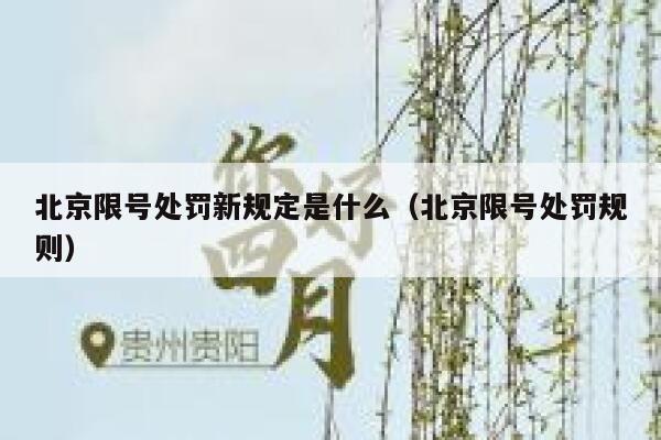 北京限号处罚新规定是什么(北京限号处罚规则) 第1张 北京限号处罚新规定是什么(北京限号处罚规则) 第1张