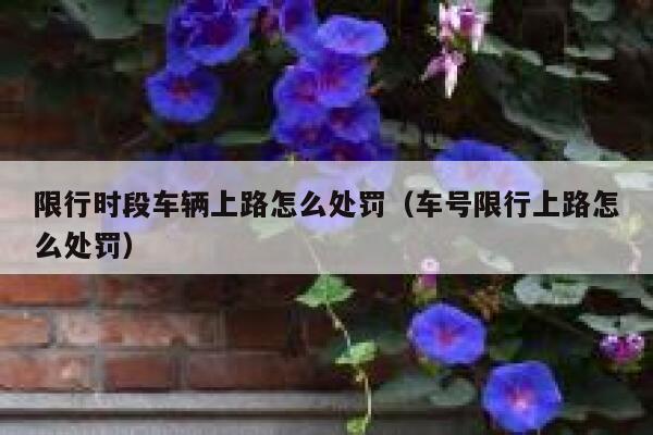 限行时段车辆上路怎么处罚(车号限行上路怎么处罚) 第1张 限行时段车辆上路怎么处罚(车号限行上路怎么处罚) 第1张