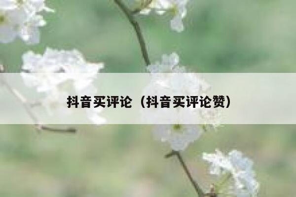 抖音买评论（抖音买评论赞） 第1张