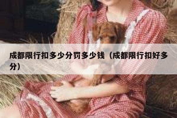 成都限行扣多少分罚多少钱（成都限行扣好多分） 第1张