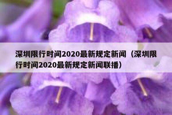 深圳限行时间2020最新规定新闻（深圳限行时间2020最新规定新闻联播） 第1张