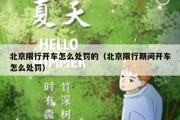 北京限行开车怎么处罚的(北京限行期间开车怎么处罚) 第1张 北京限行开车怎么处罚的(北京限行期间开车怎么处罚) 第1张