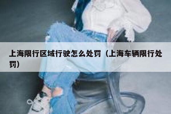 上海限行区域行驶怎么处罚(上海车辆限行处罚) 第1张 上海限行区域行驶怎么处罚(上海车辆限行处罚) 第1张