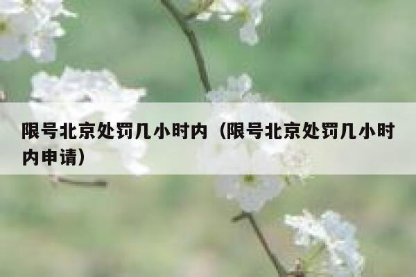限号北京处罚几小时内（限号北京处罚几小时内申请） 第1张