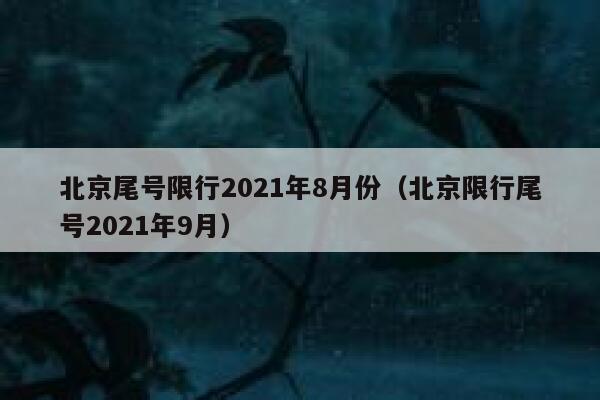 北京尾号限行2021年8月份（北京限行尾号2021年9月） 第1张