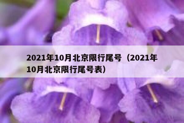 2021年10月北京限行尾号（2021年10月北京限行尾号表） 第1张