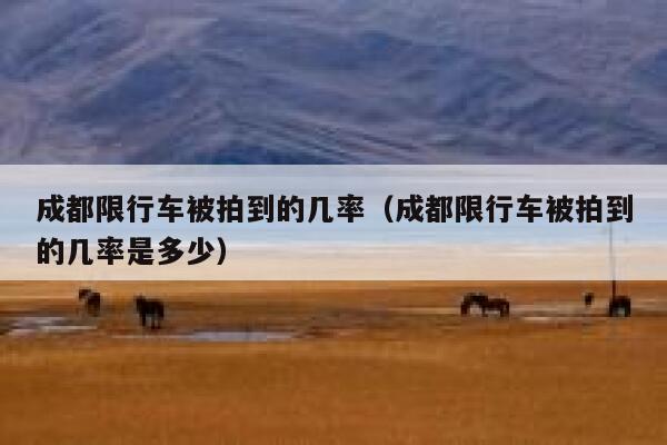 成都限行车被拍到的几率(成都限行车被拍到的几率是多少) 第1张 成都限行车被拍到的几率(成都限行车被拍到的几率是多少) 第1张