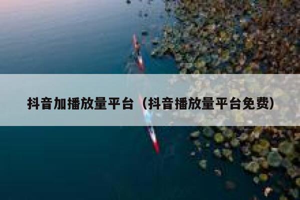 抖音加播放量平台（抖音播放量平台免费） 第1张