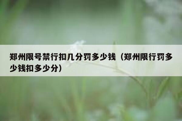 郑州限号禁行扣几分罚多少钱（郑州限行罚多少钱扣多少分） 第1张