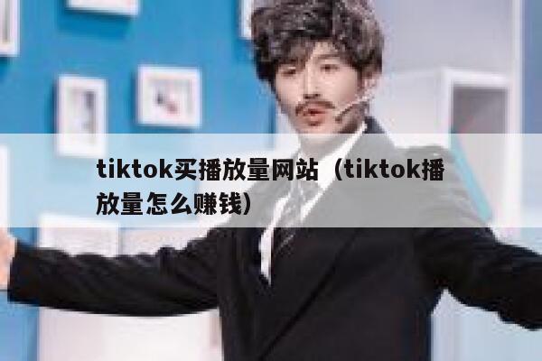tiktok买播放量网站（tiktok播放量怎么赚钱） 第1张