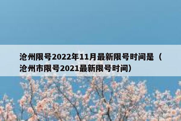 沧州限号2022年11月最新限号时间是(沧州市限号2021最新限号时间) 第1张 沧州限号2022年11月最新限号时间是(沧州市限号2021最新限号时间) 第1张