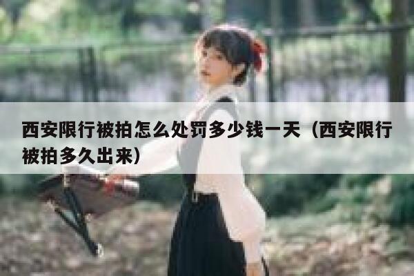 西安限行被拍怎么处罚多少钱一天(西安限行被拍多久出来) 第1张 西安限行被拍怎么处罚多少钱一天(西安限行被拍多久出来) 第1张