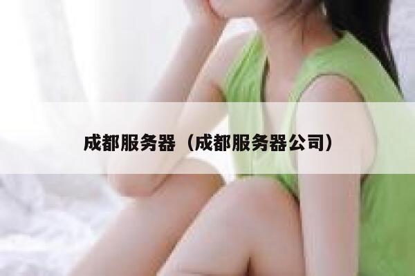 成都服务器（成都服务器公司） 第1张