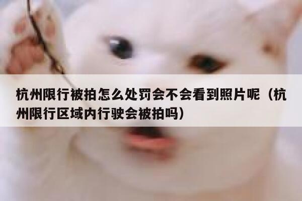 杭州限行被拍怎么处罚会不会看到照片呢（杭州限行区域内行驶会被拍吗） 第1张