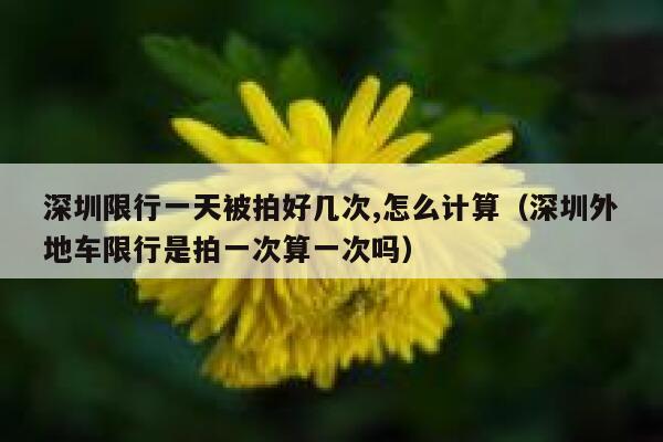 深圳限行一天被拍好几次,怎么计算（深圳外地车限行是拍一次算一次吗） 第1张