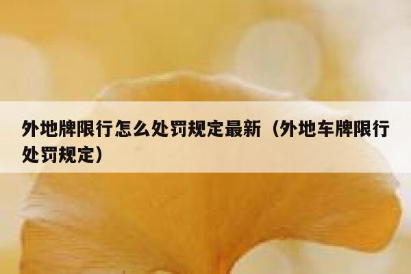 外地牌限行怎么处罚规定最新（外地车牌限行处罚规定） 第1张