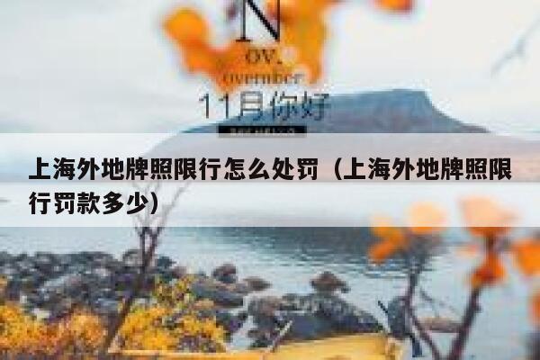 上海外地牌照限行怎么处罚（上海外地牌照限行罚款多少） 第1张