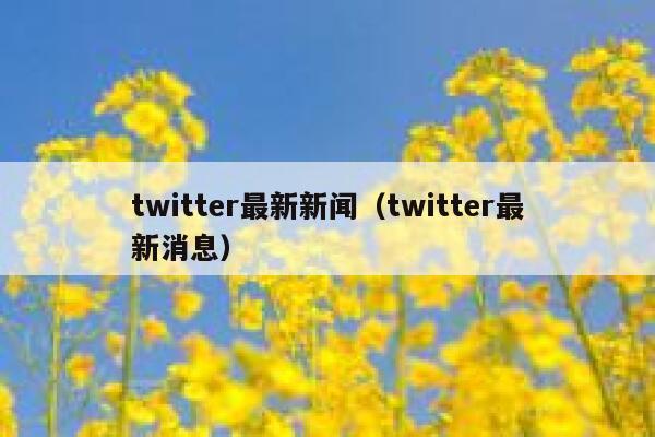 twitter最新新闻（twitter最新消息） 第1张