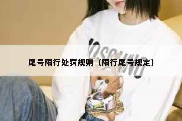 尾号限行处罚规则（限行尾号规定） 第1张