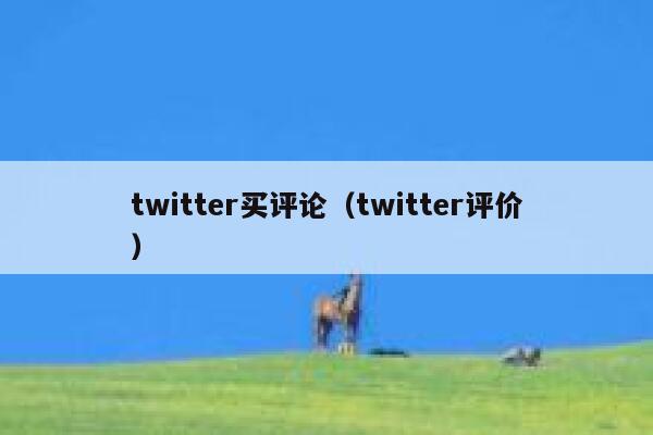 twitter买评论（twitter评价） 第1张