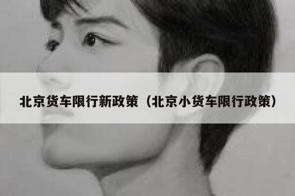北京货车限行新政策（北京小货车限行政策） 第1张