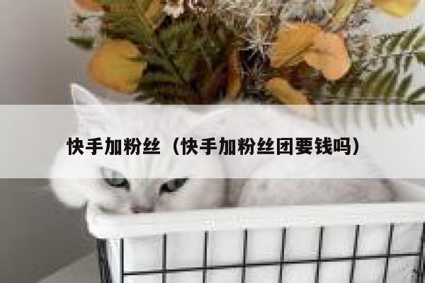 快手加粉丝（快手加粉丝团要钱吗） 第1张