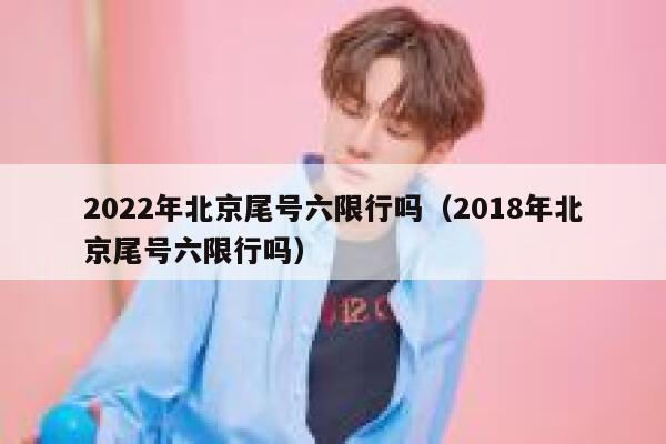 2022年北京尾号六限行吗（2018年北京尾号六限行吗） 第1张