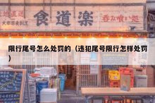 限行尾号怎么处罚的（违犯尾号限行怎样处罚） 第1张