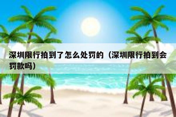 深圳限行拍到了怎么处罚的（深圳限行拍到会罚款吗） 第1张