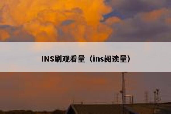 INS刷观看量（ins阅读量） 第1张