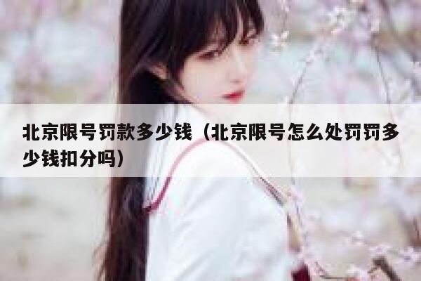 北京限号罚款多少钱（北京限号怎么处罚罚多少钱扣分吗） 第1张