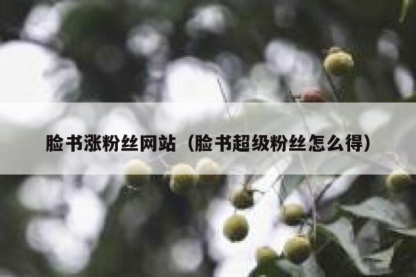 脸书涨粉丝网站（脸书超级粉丝怎么得） 第1张