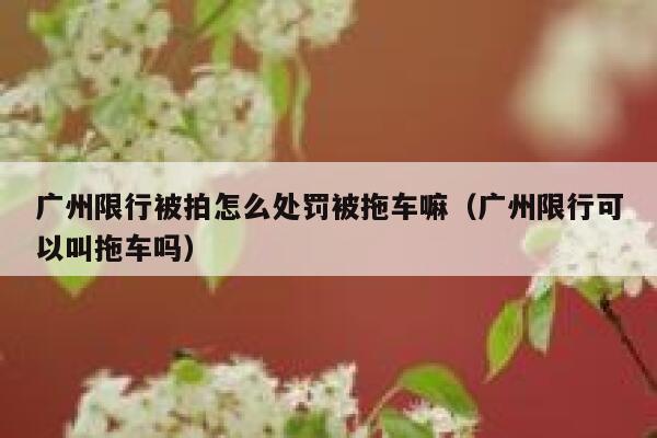 广州限行被拍怎么处罚被拖车嘛（广州限行可以叫拖车吗） 第1张