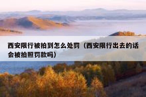 西安限行被拍到怎么处罚(西安限行出去的话会被拍照罚款吗) 第1张 西安限行被拍到怎么处罚(西安限行出去的话会被拍照罚款吗) 第1张