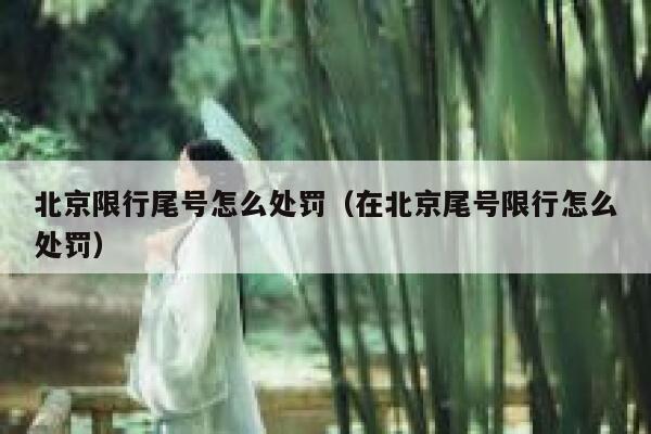 北京限行尾号怎么处罚（在北京尾号限行怎么处罚） 第1张