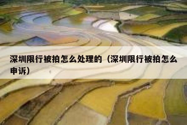 深圳限行被拍怎么处理的（深圳限行被拍怎么申诉） 第1张