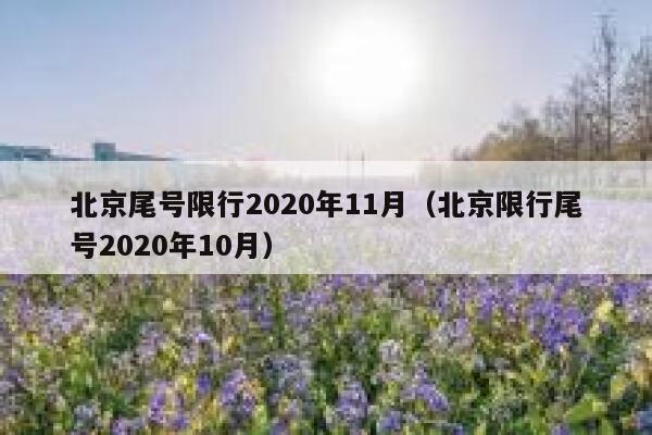 北京尾号限行2020年11月(北京限行尾号2020年10月) 第1张 北京尾号限行2020年11月(北京限行尾号2020年10月) 第1张