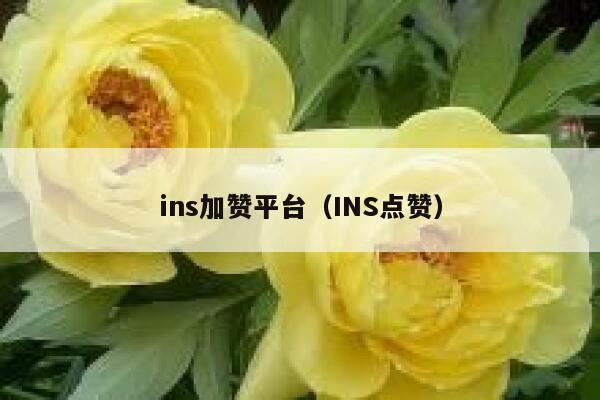 ins加赞平台（INS点赞） 第1张