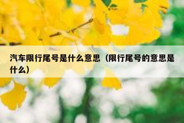 汽车限行尾号是什么意思（限行尾号的意思是什么） 第1张