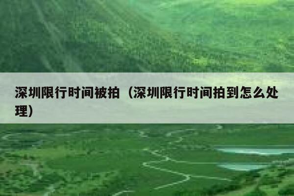 深圳限行时间被拍(深圳限行时间拍到怎么处理) 第1张 深圳限行时间被拍(深圳限行时间拍到怎么处理) 第1张