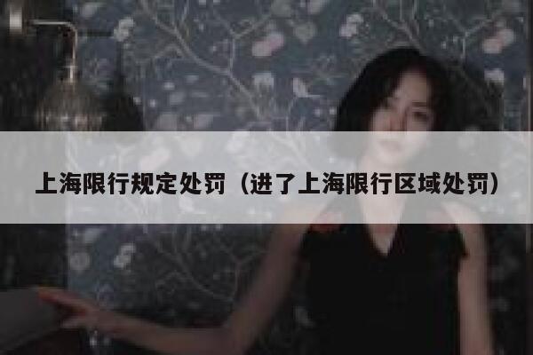 上海限行规定处罚（进了上海限行区域处罚） 第1张