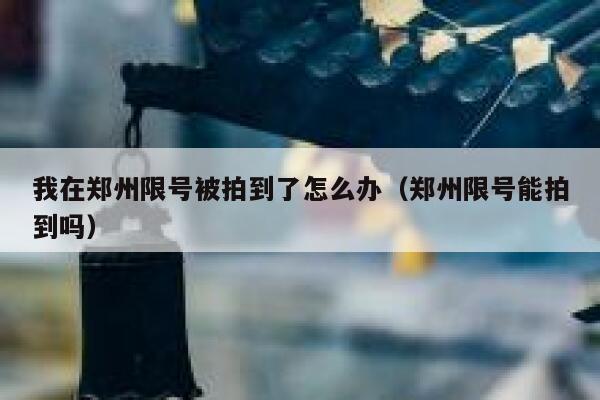 我在郑州限号被拍到了怎么办（郑州限号能拍到吗） 第1张