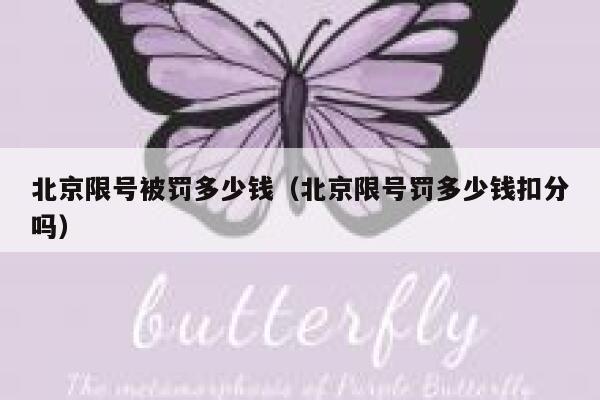 北京限号被罚多少钱（北京限号罚多少钱扣分吗） 第1张